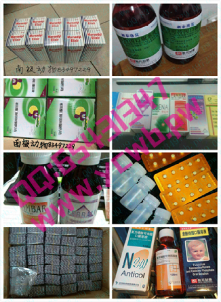 立健亭,立健亭止咳露,深圳立健亭止咳露,致君立健亭止咳露qq65431347