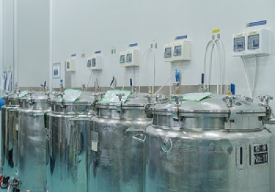 Gelatin Container