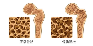 中山莱博瑞辰生物医药有限公司