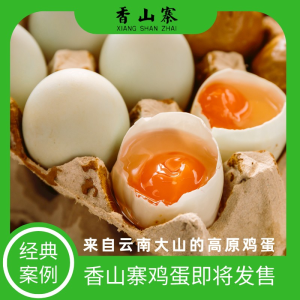 香山寨走进中贸协会