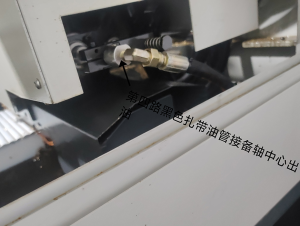 舒特