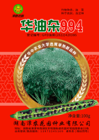 华油杂 994