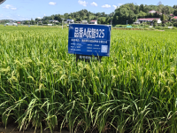 品香优智925